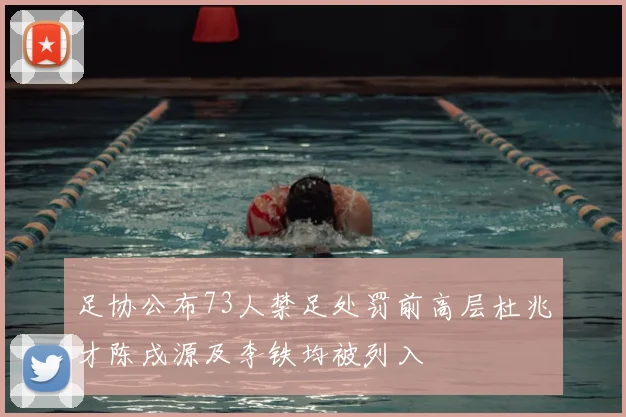 足协公布73人禁足处罚前高层杜兆才陈戌源及李铁均被列入