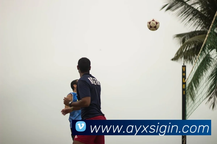 爱游戏体育服务体系