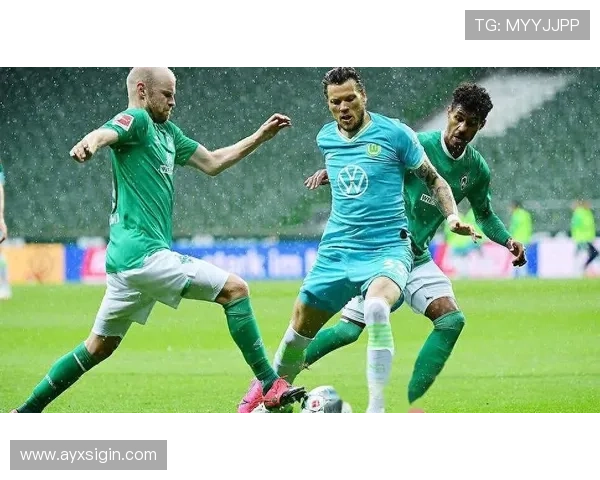 德甲部分球队特点：德甲球队的独特特点与风格分析